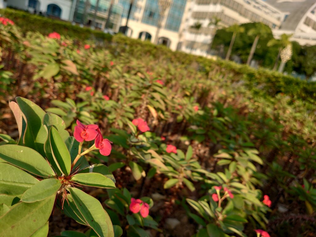 DSC 0004 1024x768
